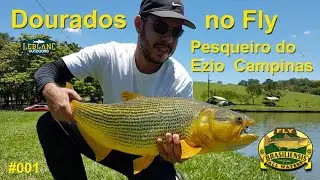 Dourados no Fly  em Pesqueiro  EP #001