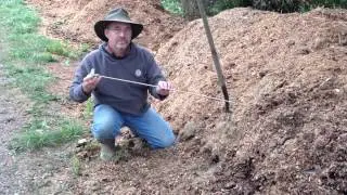 Where To Take Temperature Readings In Your Compost Pile