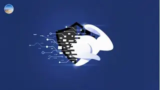 Безопасность Rabby Wallet: Обзор аудита SlowMist | Стоит ли доверять этому криптокошельку?