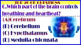 &ldquo;Biology GK MCQs  Human Body & Plant Science  Competitive Exams&rdquo;
