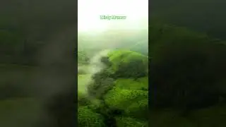 Aerial view of Munnar Hills #alanwalker #fadedwell #kerala #india #munnar #mallu #dji #snowyvalleys