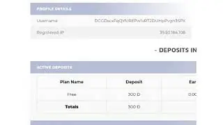 DOGEMIND COM   DOGE CLOUD MINING