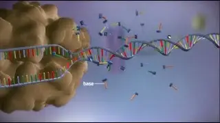 &iquest;C&oacute;mo surgi&oacute; la vida en la Tierra? Nuevos experimentos respaldan la hip&oacute;tesis del &laquo;mundo de ARN&raquo;
