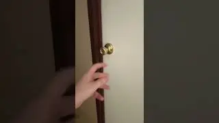 Poopy