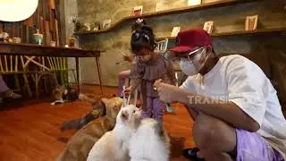Kalau Udah Main Bareng Kucing, Cici Dan Nia Semangat Banget | DIARY THE ONSU (16/7/22) P3