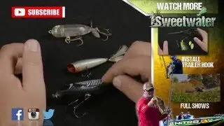 Best Colors For Topwater Lures