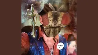 Hit n Miss