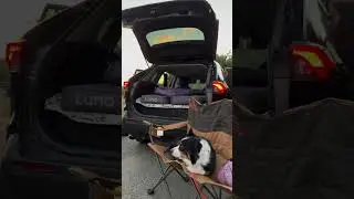 The Premium 2-in-1 set: Cargo Drawer + Sleeping Platform for #camping in your #Toyota #RAV4!🏕