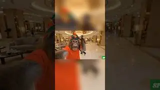 Bandar Ko Celebrity Smile Mil Gayi 😎 | Monkey Luxury Vlog