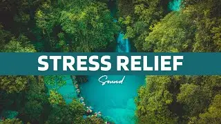 Relaxation Music + ASMR River Flow | Deep Sleep & Calm Mind