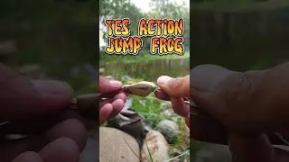 Tes Action Jump Frog || Alhamdulillah Berhasil 👏 #shortvideo