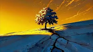 Rebirth of Silence - Ambient/N&eacute;oclassique/Contemplative