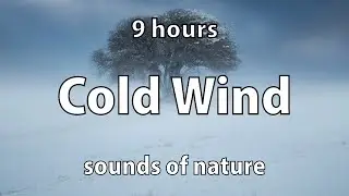 Cold Wind Sounds for Focus, Relaxing or Deep Sleep - 9 hours White Noise Nature Sound
