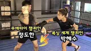 무에타이 챔피언 정도한 vs 복싱 세계 챔피언 박혜수 여자 세계 챔피언한테 도전했습니다