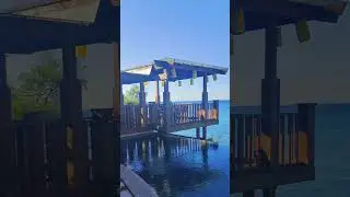 HOTEL TERINDAH DI MAUMERE (CAPA RESORT)