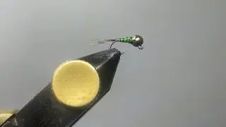 Perdigon Nymph