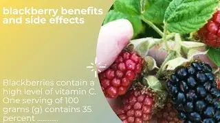 blackberry benefits and side effects #best_personal_diet