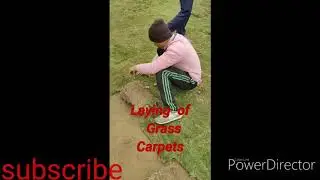 Low cost Eco Friendly grass for Garden