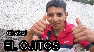 CHAKAL MEXICANO  EL OJITOS 👀