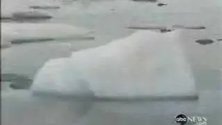 Huge Ice Shelf Breaks off in the Arctic