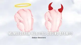 JANGAN BELI DAGING AYAM LAGI???!!!! | TPTD