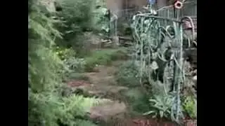 Amazing Childrens fantasy world Animated story book studio