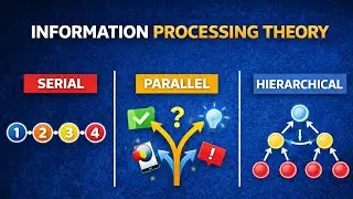 Information Processing Theory Explained | How the Brain Learns, Remembers & Thinks