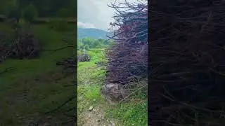 Nature VibesPure NatureNature EscapeNatural ViewsGreen World