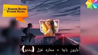 🎧 Haroon Bacha – Starge Gazal (Slowed + Reverb)