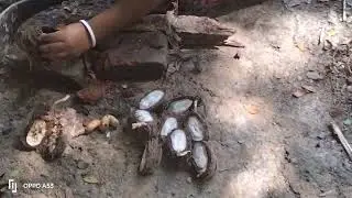 তালশ্বাস|bahodin par talsas khelam#তাল|#তালশ্বাস#2023#তালের_আঁটি|Pam|Viral|#youtuber #food