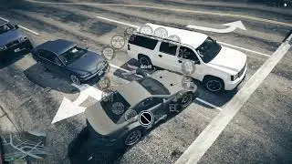 Grand Theft Auto V NPC with Dog