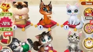 Catopedia Merge my Cat LEVEL1-8 #mobilegameplay 