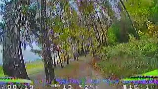 Foxeer predator v3