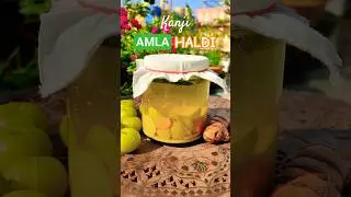 Natural Probiotic Amla Haldi Kanji Recipe #winterspecial #shorts #shortvideo #suzzlers