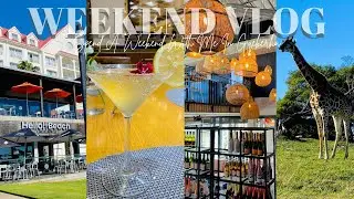 VLOG: A weekend in Gqeberha | Kragga Kamma Game Drive | Going Out | Having Drinks 
