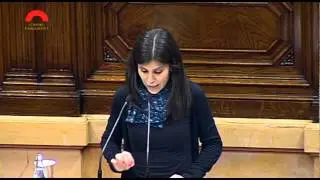 Vilalta (ERC) denuncia el cinisme del PP i rebutja el seu model universitari
