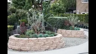 Learn about the Benefits of a Water-wise Garden