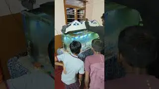 சின்ன பசங்க கொண்டு வந்த கோல்டு ஃபிஷ்&hellip; மான்ஸ்டர் பிஷ் என்ன பண்ணுச்சு பாருங்க  Monster Fish Tank Shock