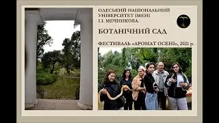 ФЕСТИВАЛЬ 