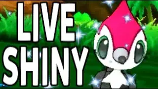 SHINY PIKIPEK REACTION!! Live Pokemon Sun and Moon Shiny Hunting Reaction!