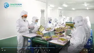 Custom Tin Packaging Manufacturer in China- CHAOCHUN METAL