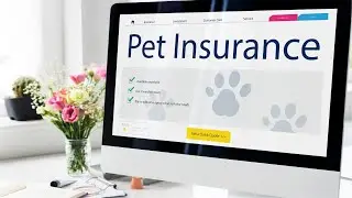 Top 5 Pet Insurance Companies | @PETBIZS #pets #animalshorts #petinsurance #viral #popular