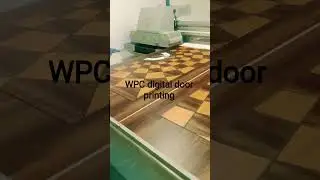 WPC digital door printing machine #machine