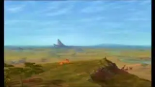 lion king -  respect + kringloop van het leven