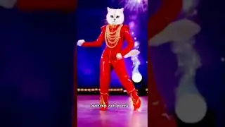 From Couch Cat to Dance Star 😻💃 #shorts#shortsfeed