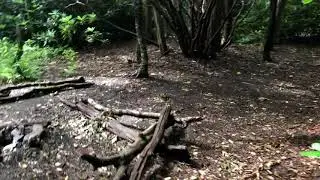 Video of AT Backcountry Site near Bearpen Gap, NC from Asher K.