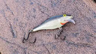 Testing a Rapala Scatter Rap on Bass