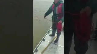 best fishing rod for river fishing #fishing #net #fishingnets