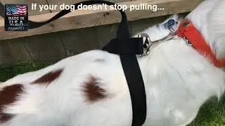 Control Leash Instructions