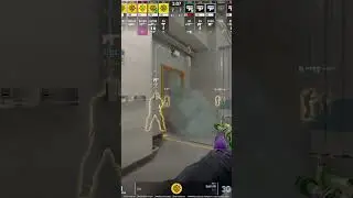 LEGAY 200 IQ NUKE VENT BAIT